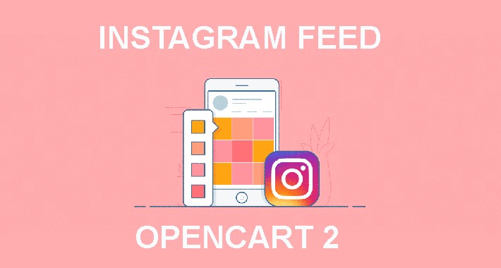 Instagram Feed 2020