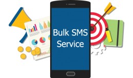 Bulk and Notification SMS - UAE