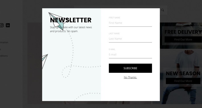 Newsletter plugin
