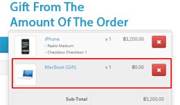 Gift From The Order Amount