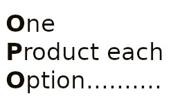 OPOSystem  -  Unique options for each product