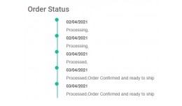 Order Status Flowing Timeline.