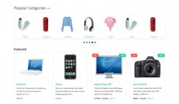 Dstore Multipurpose Theme