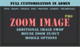 Professional Product Image Zoom