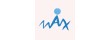 Max Vision Solutions