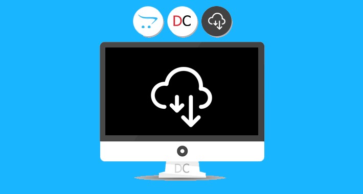 Create Downloads In Product Form