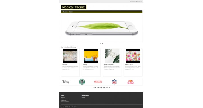 Medical Pharmacy Theme