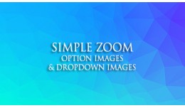 Simple Option Images Zoom with Dropdown Select I..