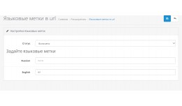 Language tags in url