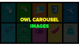OWL Carousel Images