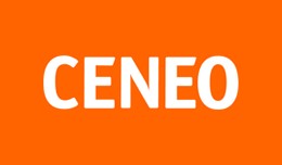 Ceneo.pl Xml Feed