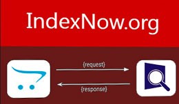 IndexNow - auto sending URL's to Search Engines