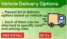 Vehicle Delivery Options Shipping Method