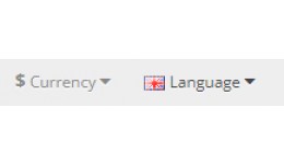 Change Currency With Language