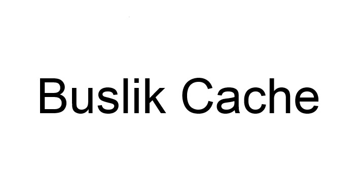 Buslik Cache