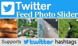 Premium Twitter Feed Widget / Photo Slide Show f..