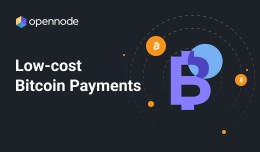 Bitcoin Payments by OpenNode