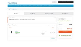 2022 - Bi checkout Page Pro // Profesyonel ödem..