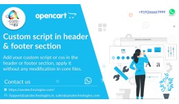 custom script in header & footer section