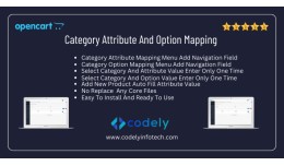 Category Attribute And Option Mapping