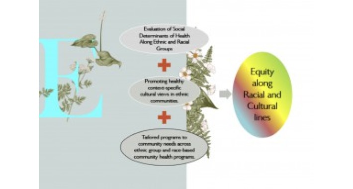 Health Equity across Ethnic and Racialized Groups