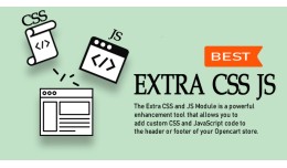 Extra CSS and JS Module: Customization Made Easy