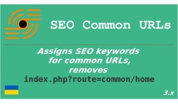 SEO Common URLs