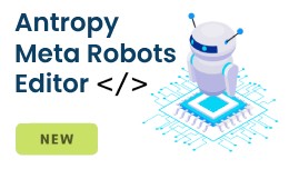 Antropy Meta Robots Editor