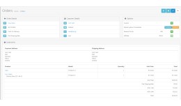 Invoice Prosvasis Go Pro