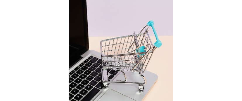 Sustainable E-commerce: Meeting Consumer Demand for Eco-Friendly Online Shopping