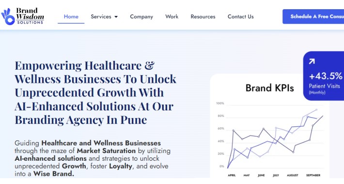 Creative Branding agency in Pune | Brand Wisdom Solutions