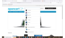 Ajax Live Search