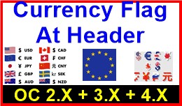 Currency Flag At Header