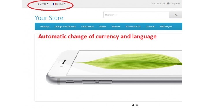 Auto Switch Language and Currency