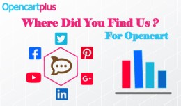 Where Did You Find Us? - Efficient customer orig..