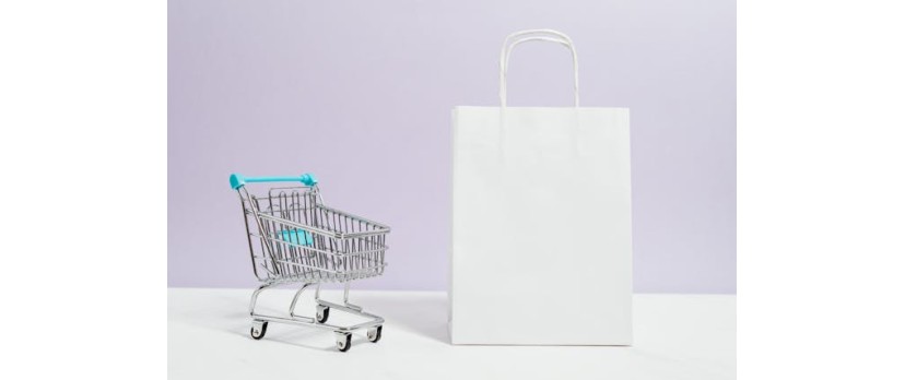 Optimizing Your OpenCart Store: Insights from Overland Vision’s Outdoor Success