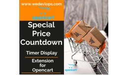 Special Price Timer Countdown