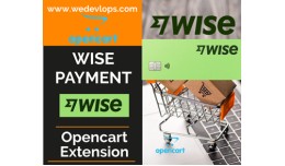 Wise Payment