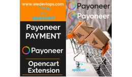 Payoneer Payment
