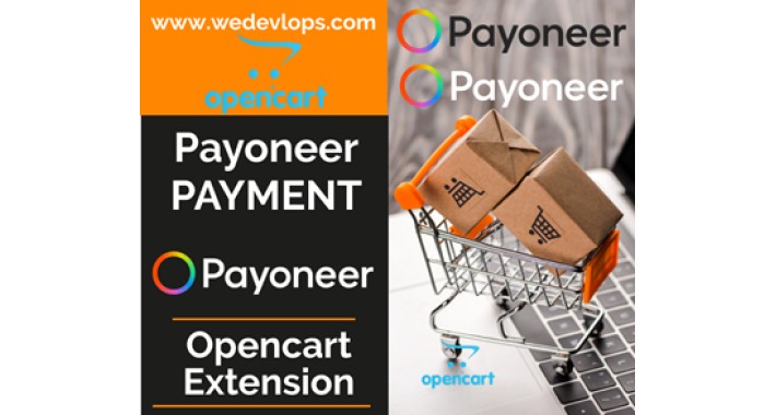 Payoneer Payment