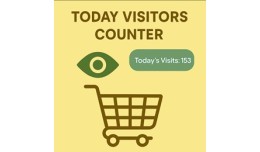 Today/online Visitors Counter