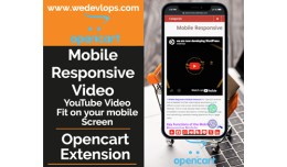 Mobile Responsive Video