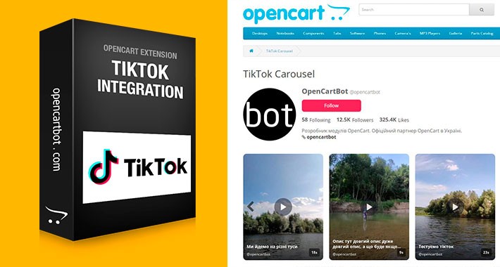 TikTok Integration for OpenCart