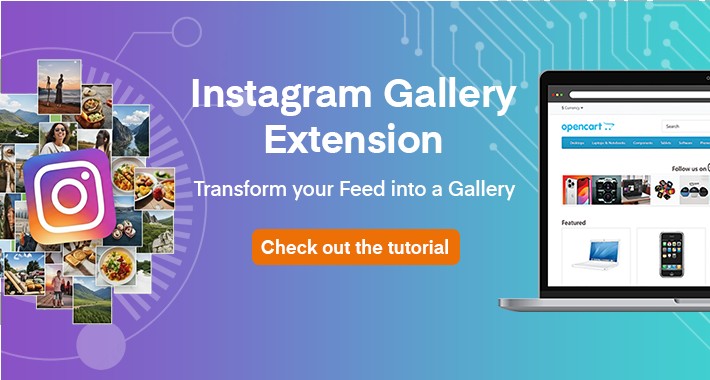 Instagram Gallery