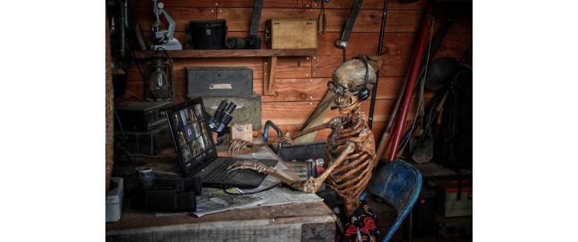 Beyond the Workbench: How E-Commerce Is Redefining Tool Buying