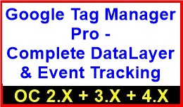 Google Tag Manager Pro - Complete DataLayer &..