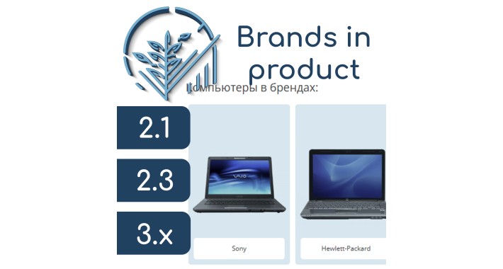 Brands on the product page