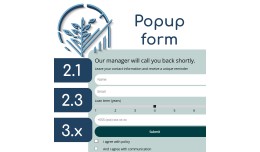 Pop-up feedback form