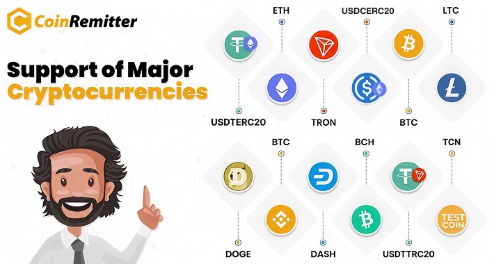 Coinremitter - Cryptocurrency Checkout