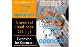 Universal Head Code for JS and CSS